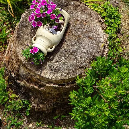 Haus Maja Apartament *